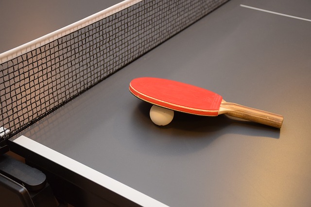 Tout Savoir Sur Le Ping Pong Guide Sur Le Tennis De Table